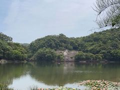 -广州市石门国家森林公园