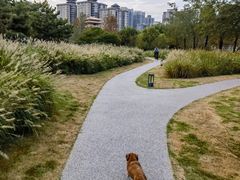 -咸阳湖景区