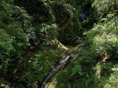 -牛背梁国家森林公园