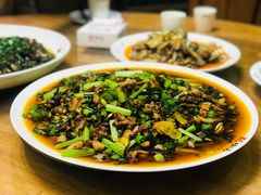 -功夫兔
