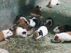 -华夏文旅西安度假区