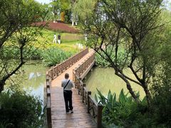 -桤木河湿地公园