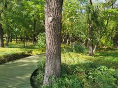 -长春市南湖公园