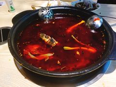 -香坝坝鲜鱼火锅(春熙路店)