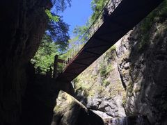 -牛背梁国家森林公园