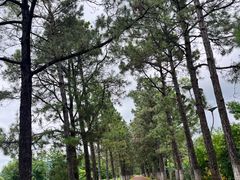 -云幽谷旅游区