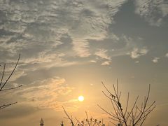 -花博汇(知音花月夜)