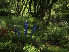 -上海共青森林公园