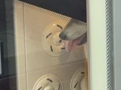 -FAELING PETS美天灵宠物(富力广场店)