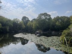 -上海吴淞炮台湾国家湿地公园