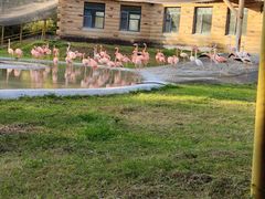 -哈尔滨北方森林动物园