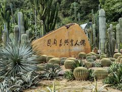 -深圳仙湖植物园