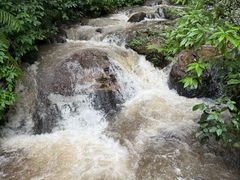 -莫里热带雨林景区