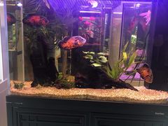 -龟与熊猫宠物公园(南坪店)