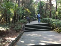 -铁山坪森林公园