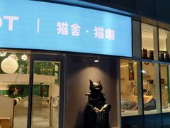 门面-飞行喵MR PILOT|猫舍·猫咖(静安大融城店)