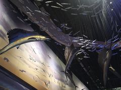 -武汉园博园(武汉自然博物馆)