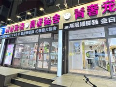 -青奢宠物·青奢猫舍