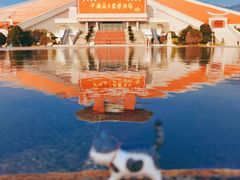 -中国闽台缘博物馆