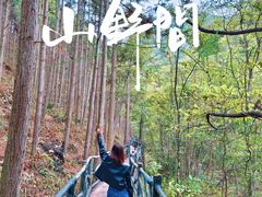 -九龙江国家森林公园