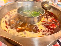 -金鼎雪山牦牛杂火锅(理县总店)