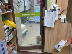 -瑞鹏宠物医院·夜间急症·心超·猫科(祖庙分店)