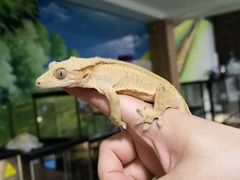 -藦茜花园宠物主题亲子互动体验馆(国顺东路店)