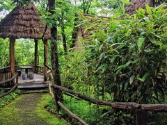 -黑河国家森林公园
