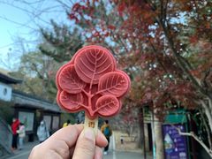 -香山公园