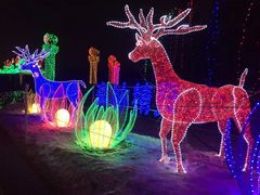 -长春公园(普阳街道)