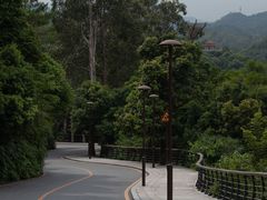 -深圳仙湖植物园
