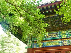 -红螺寺