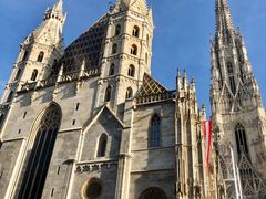 -斯蒂芬主教座堂(Stephansdom)