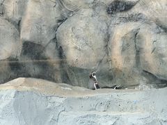 -武汉动物园