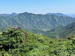 -大岭沟猕猴桃谷风景区