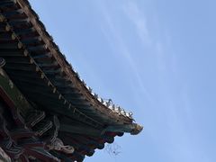-迎泽公园