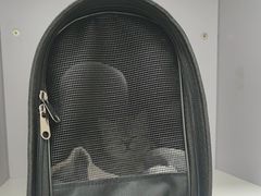 -北京观赏动物医院·24小时大型综合·猫专科·异宠专科