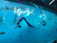 -瑞德姆美人鱼海底演艺主题餐厅(亚龙湾店)
