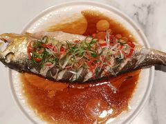 -田螺阿姨自营月嫂·育儿嫂(高新店)