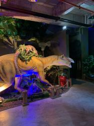 -恐龙探索乐园(磁器口店)