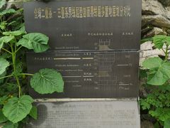 -金钉子远古世界景区