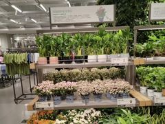 -鹿岛生活(熙地港店)