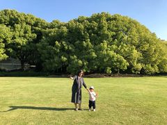 -上海兴国宾馆香樟园西餐厅