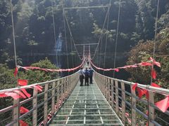 玻璃桥-九龙江国家森林公园