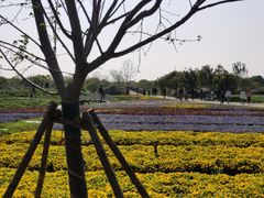 -上海杨姆庄园