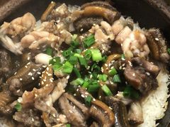 -红星光发煲仔饭(大石街店)
