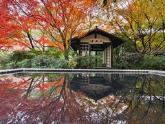 -中国茶叶博物馆(双峰馆区)