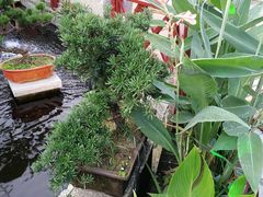 -顺德了能馆(虎门店)