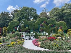 -上海共青森林公园