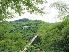 -川西竹海景区